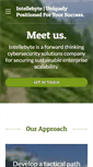 Mobile Screenshot of intellebyte.com
